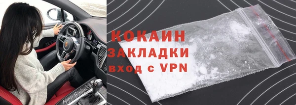 индика Новозыбков