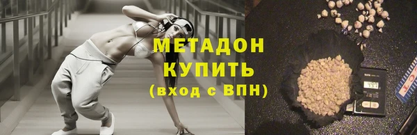 индика Новозыбков