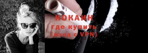 индика Новозыбков