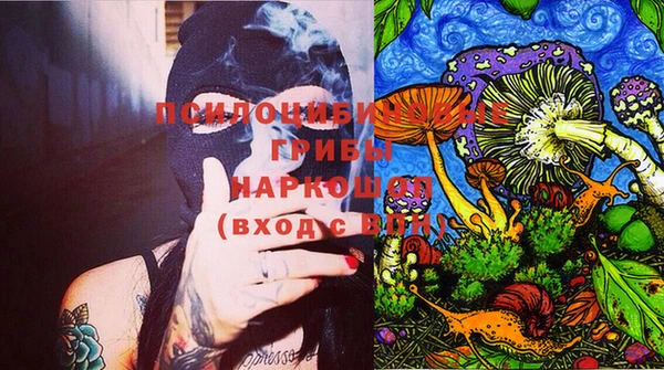 круглые Няндома