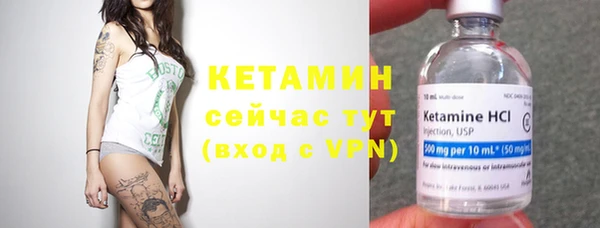индика Новозыбков