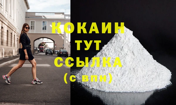 дмт Няндома