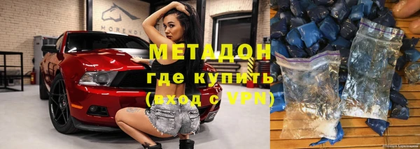 индика Новозыбков