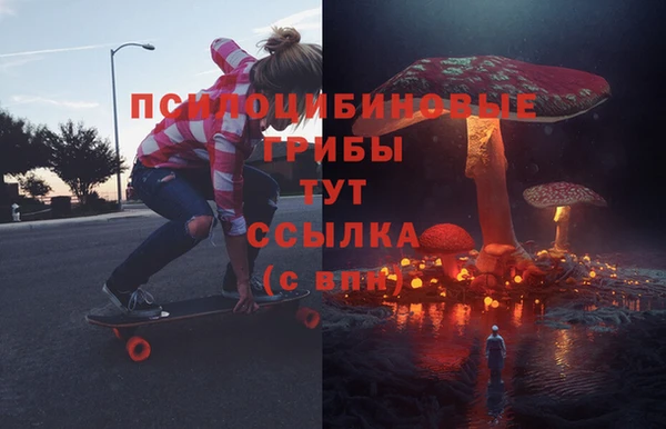 шишки Нязепетровск