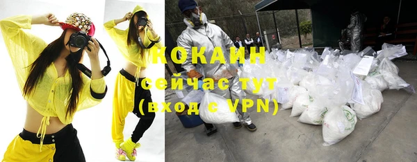 индика Новозыбков