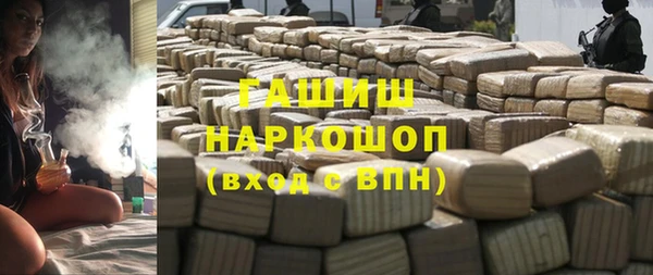 индика Новозыбков