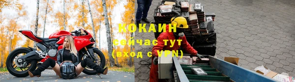 дмт Няндома