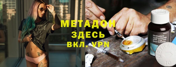 индика Новозыбков