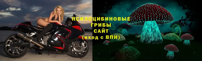 Псилоцибиновые грибы Psilocybine cubensis  где продают наркотики  hydra как зайти  Елец 