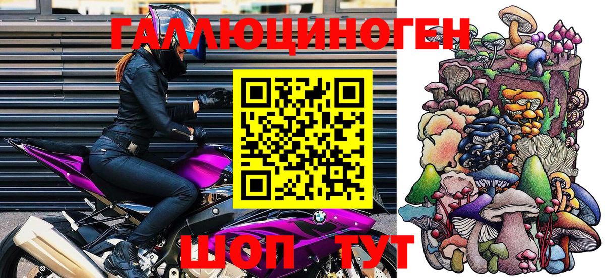 Псилоцибиновые грибы GOLDEN TEACHER Елец