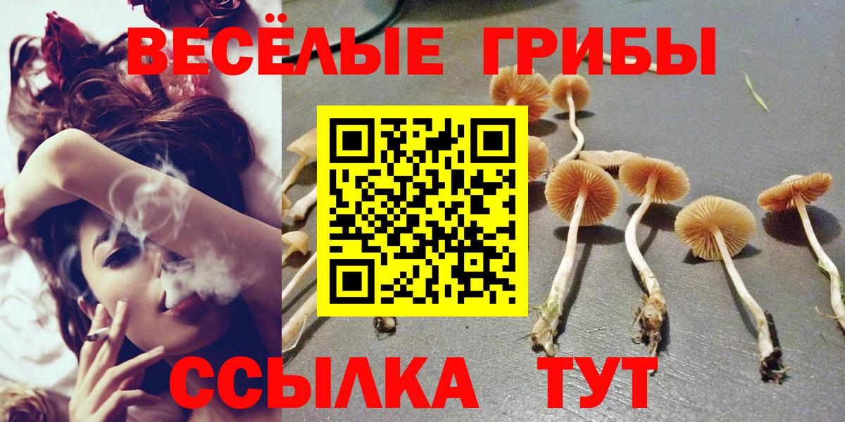 Галлюциногенные грибы мухоморы Елец