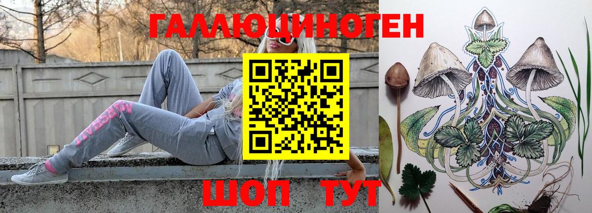 Галлюциногенные грибы MAGIC MUSHROOMS  Вход с VPN  цена наркотик  Елец 