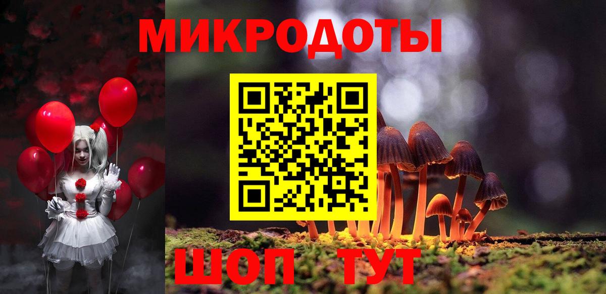 Псилоцибиновые грибы Psilocybe  Елец 